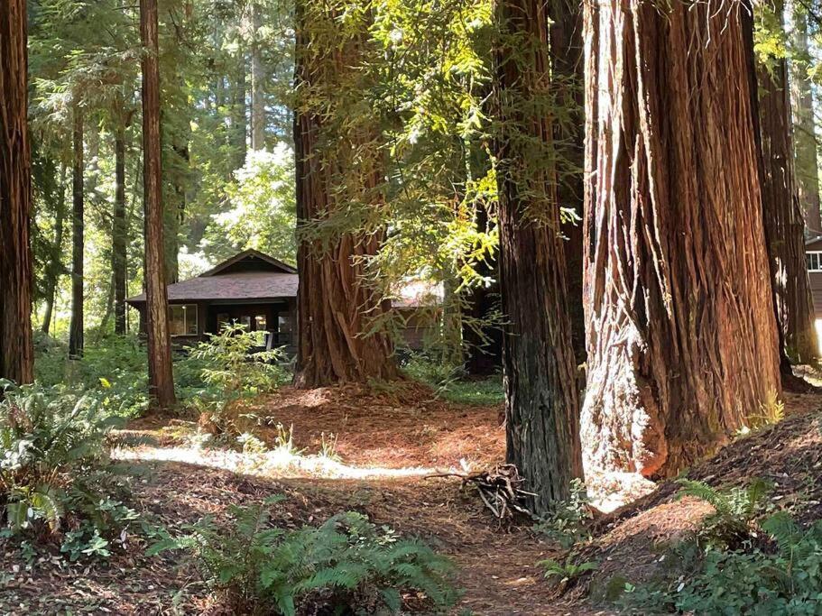 The Groves At Redway Beach - Craftsman Extérieur photo